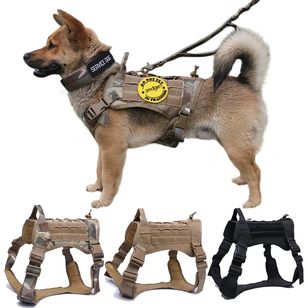 Nylon Tactical Dog Harness with Handle & Bungee Leash for Large Dogs